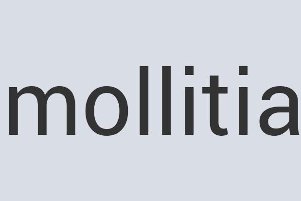 Aerodynamic Aluminum Bronze Cheese